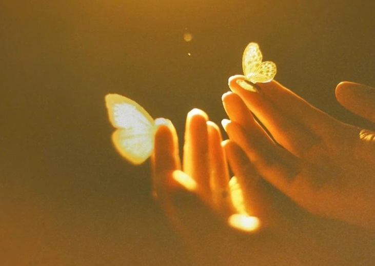 farfalle sulle mani